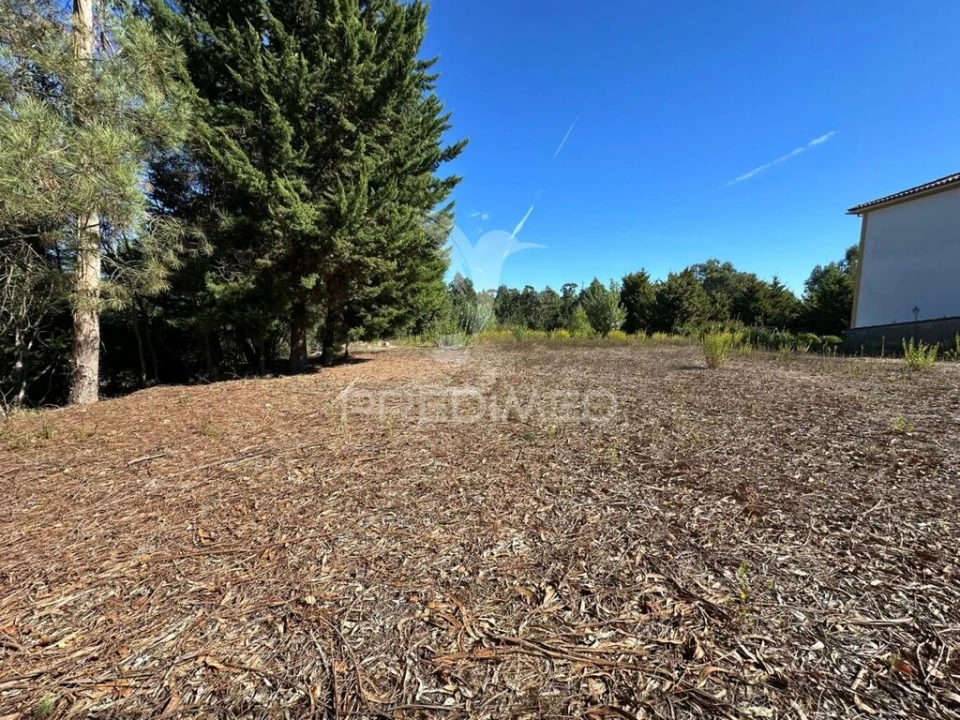 Terreno para Venda em Seiça Foto 2