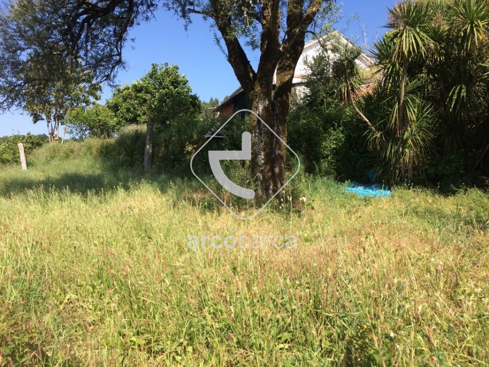 Quinta T2 para Venda em Monte Redondo Foto 6