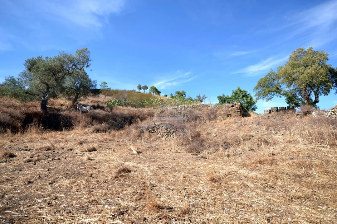 Terreno para Venda em Ameixial Foto 12