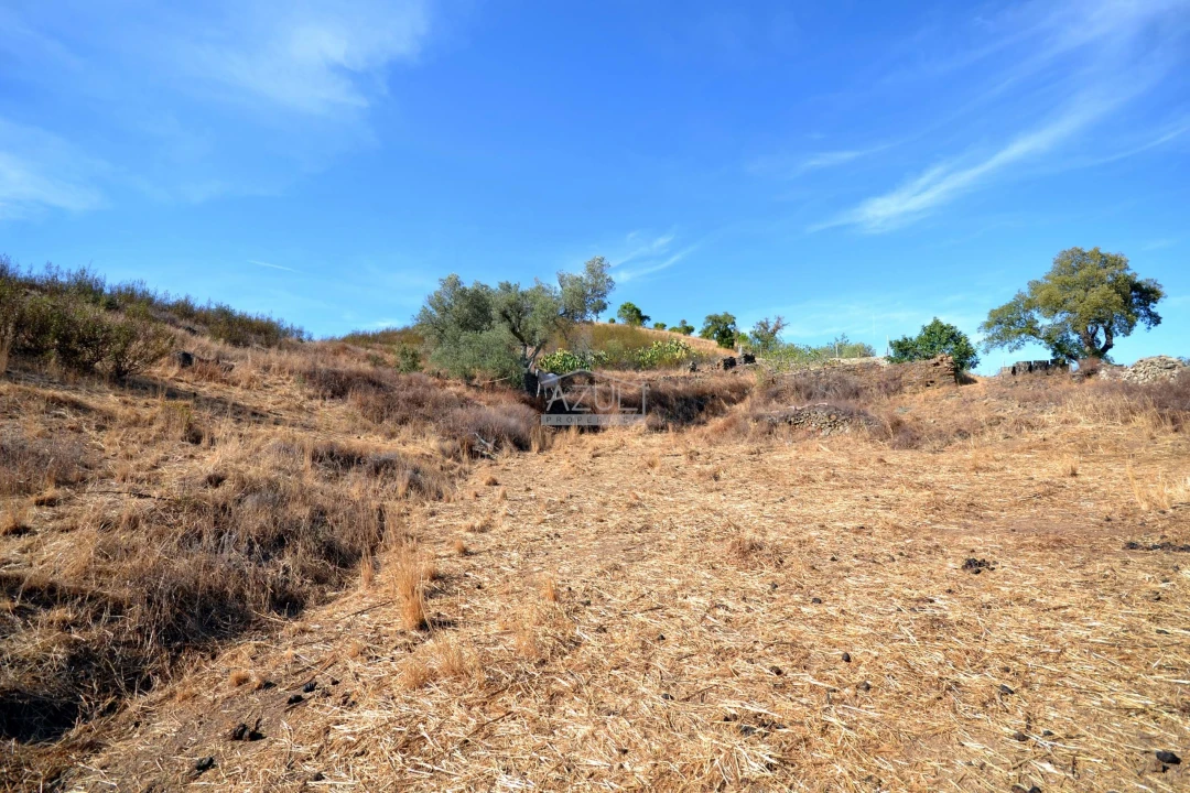 Terreno para Venda em Ameixial Foto 11