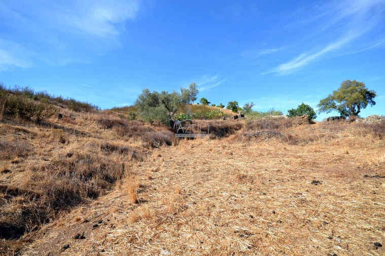 Terreno para Venda em Ameixial Foto 11