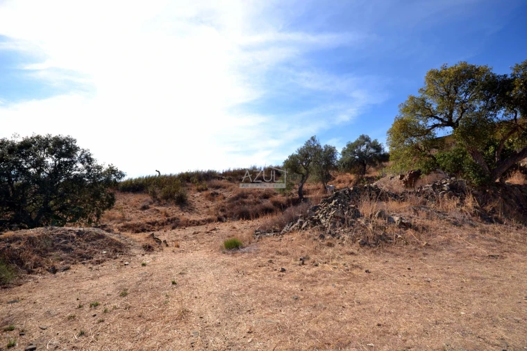 Terreno para Venda em Ameixial Foto 14