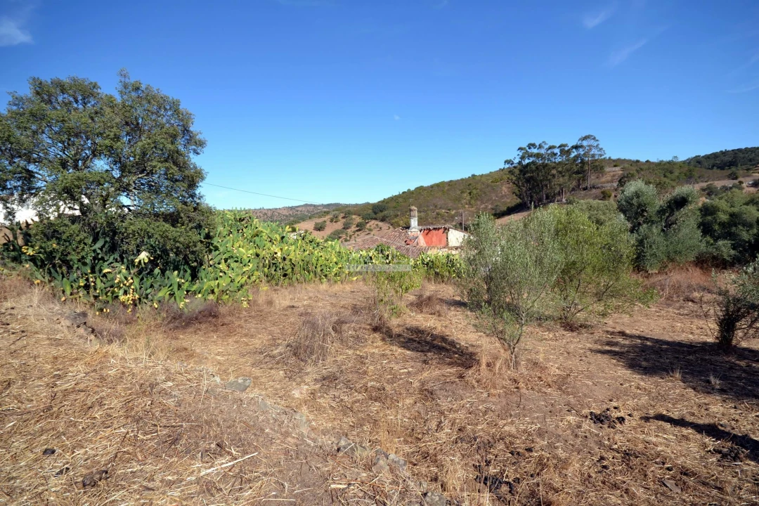 Terreno para Venda em Ameixial Foto 10