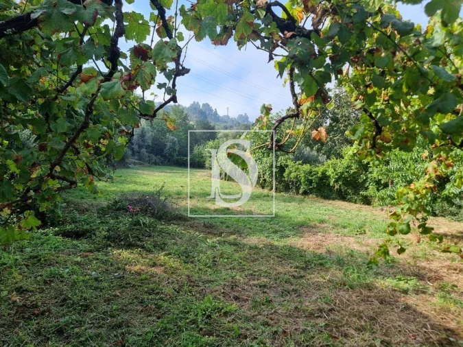 Moradia T5 para Venda em Ventosa e Cova Foto 41