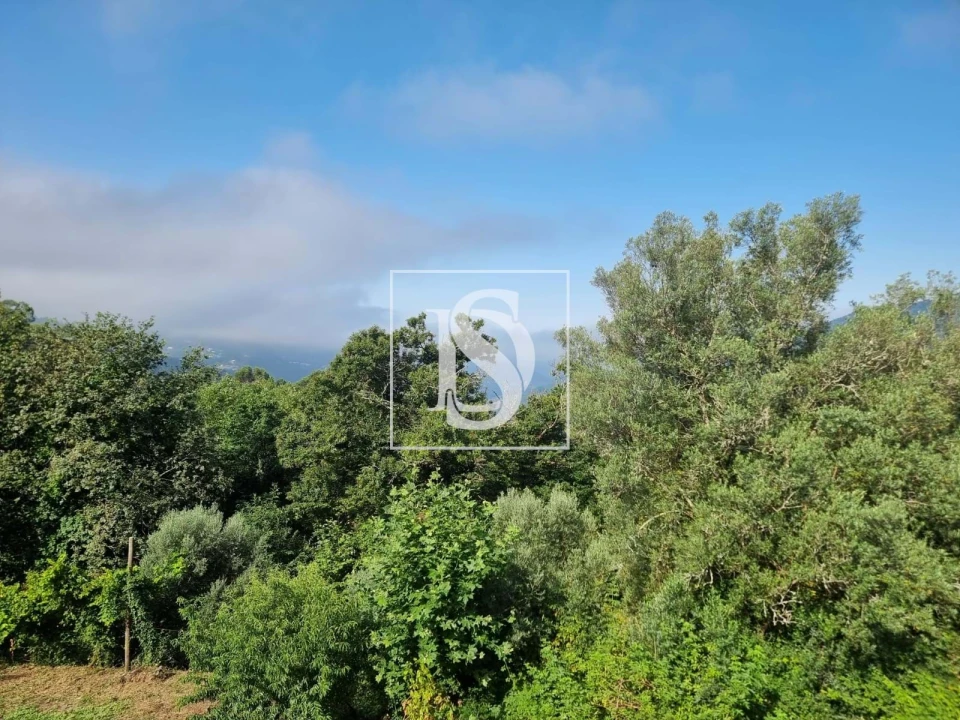 Moradia T5 para Venda em Ventosa e Cova Foto 26