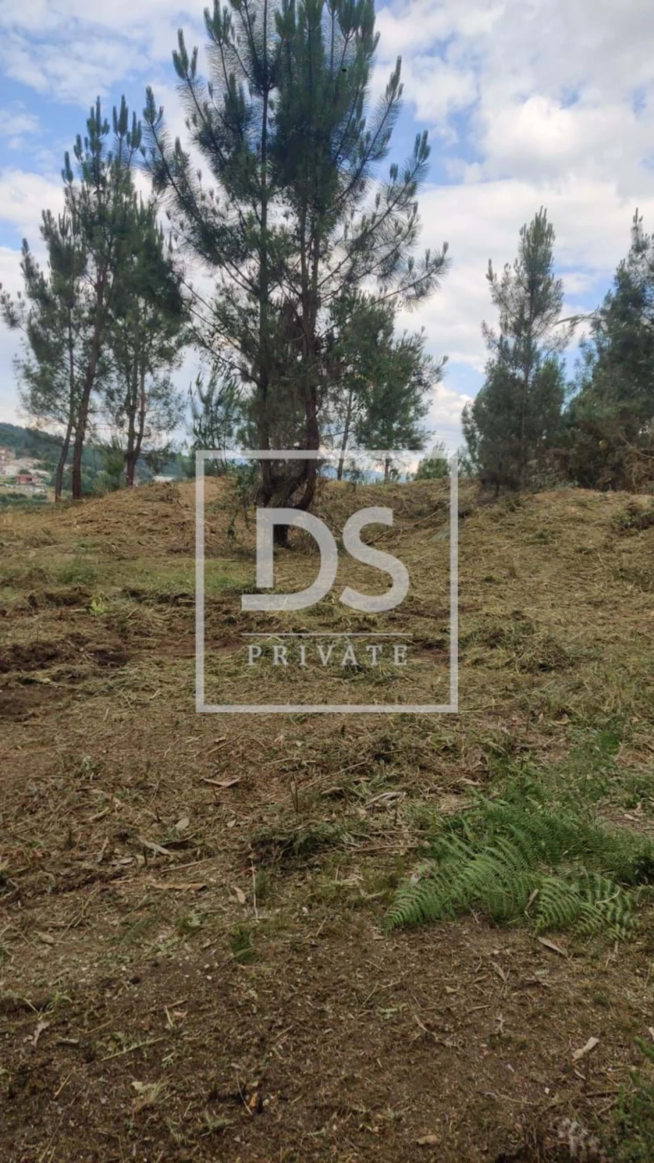 Terreno Agricola ou Rústico para Venda em Castelões Foto 2