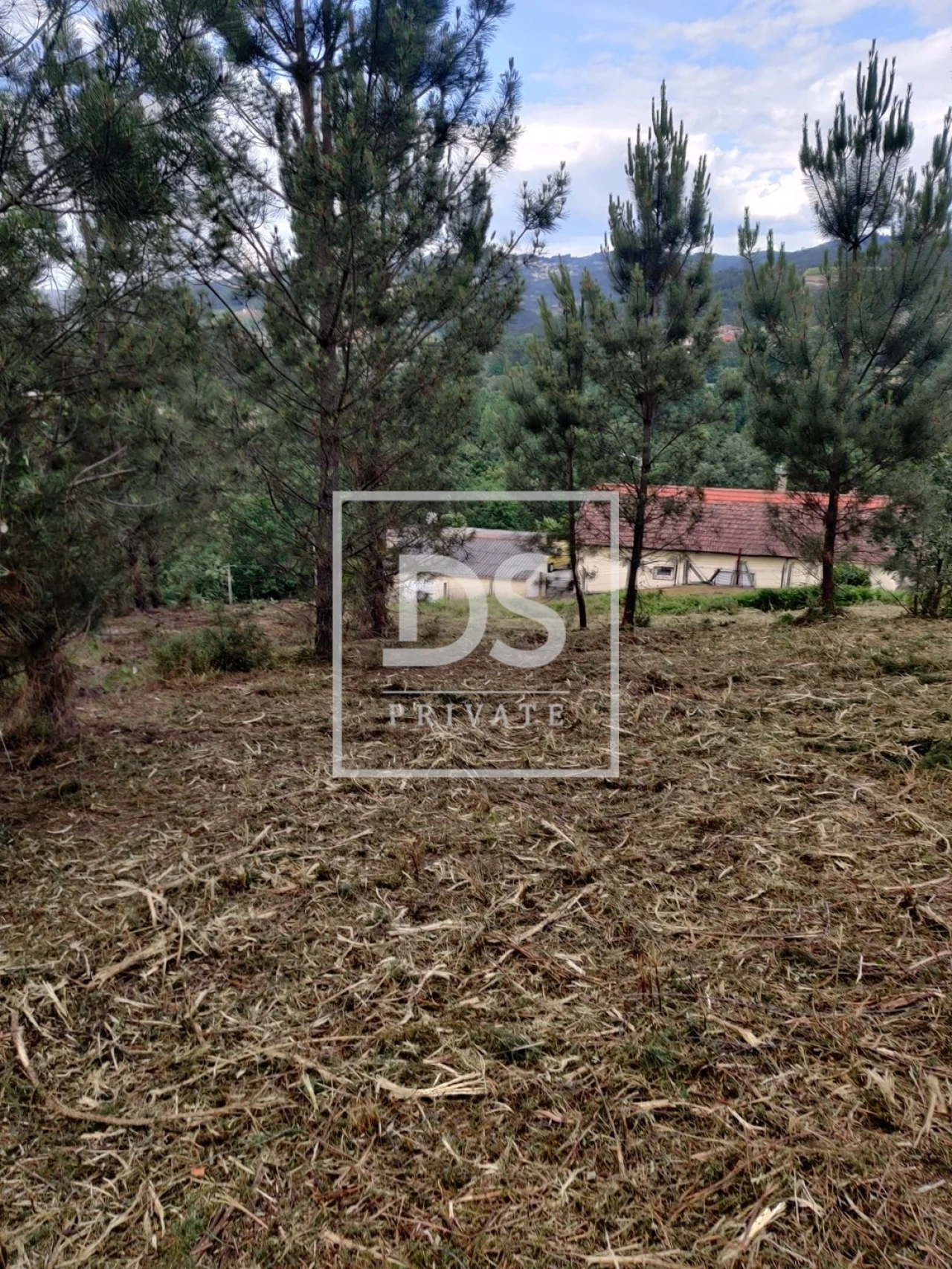 Terreno Agricola ou Rústico para Venda em Castelões Foto 23