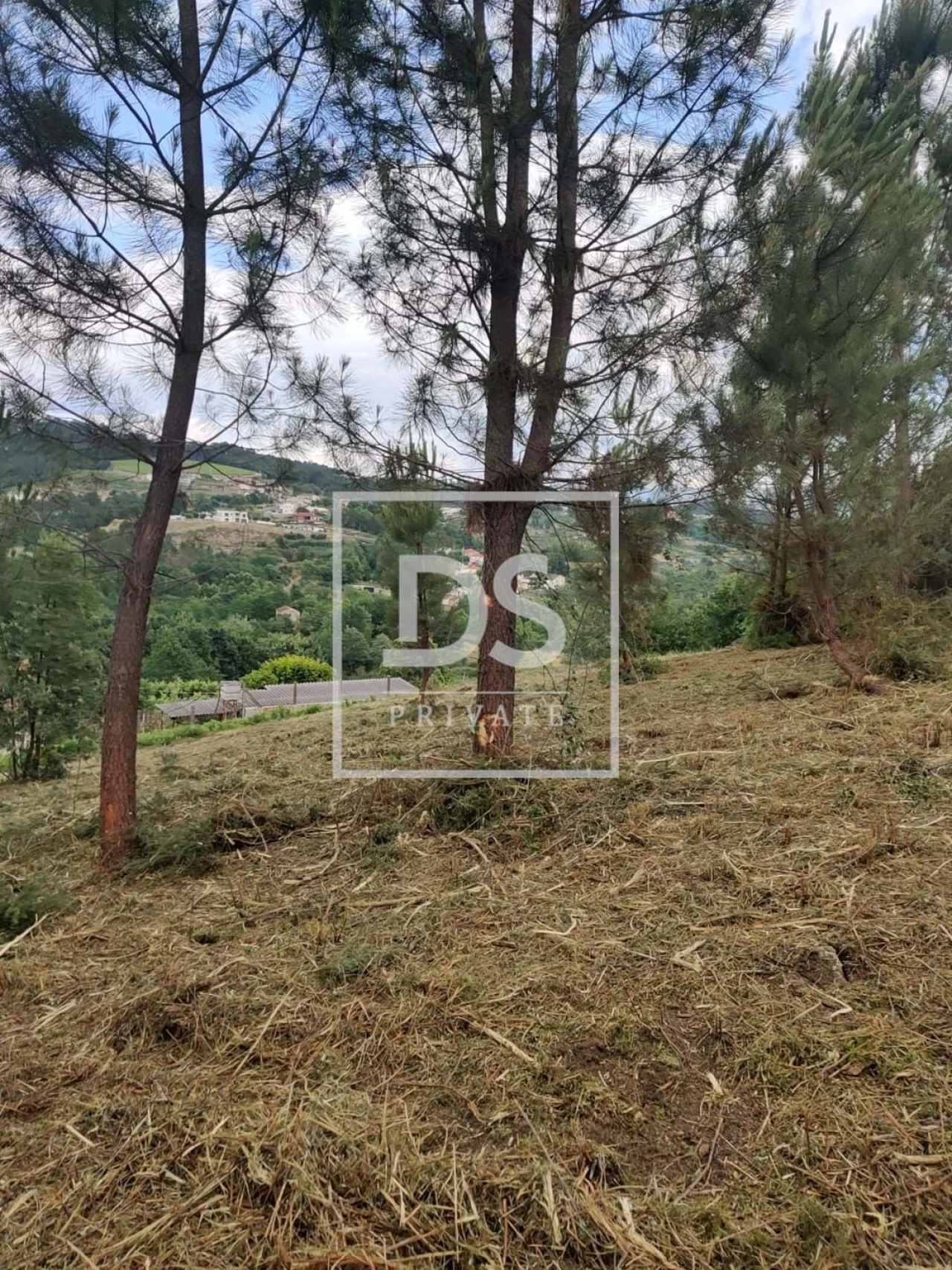 Terreno Agricola ou Rústico para Venda em Castelões Foto 24