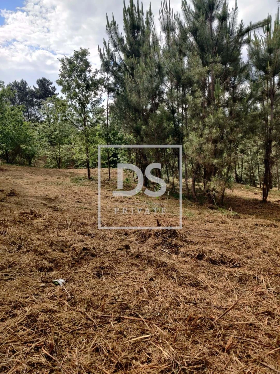 Terreno Agricola ou Rústico para Venda em Castelões Foto 5