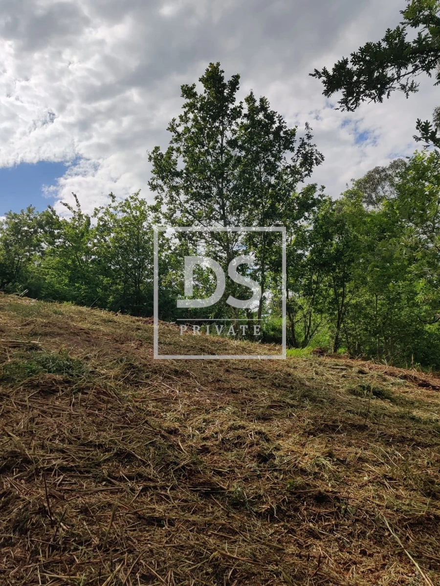 Terreno Agricola ou Rústico para Venda em Castelões Foto 22