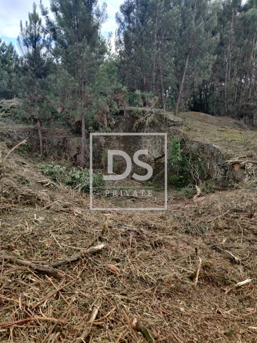 Terreno Agricola ou Rústico para Venda em Castelões Foto 18