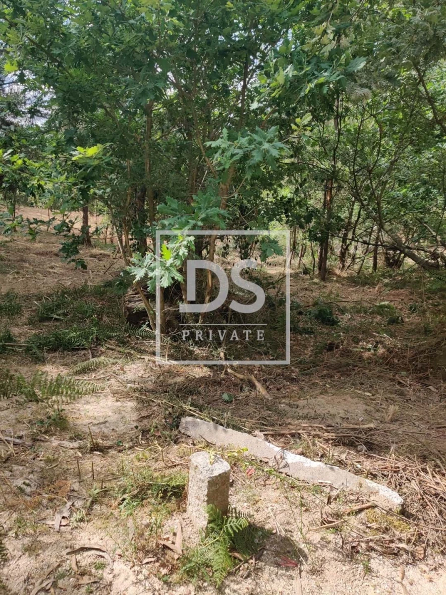 Terreno Agricola ou Rústico para Venda em Castelões Foto 14