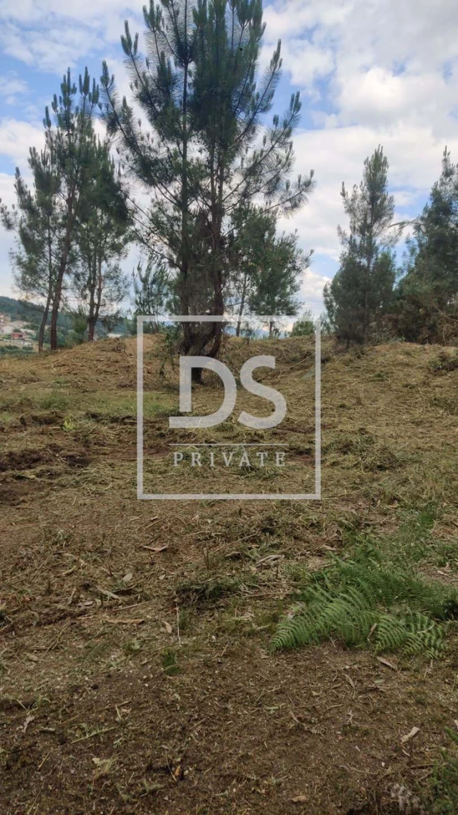 Terreno Agricola ou Rústico para Venda em Castelões Foto 2