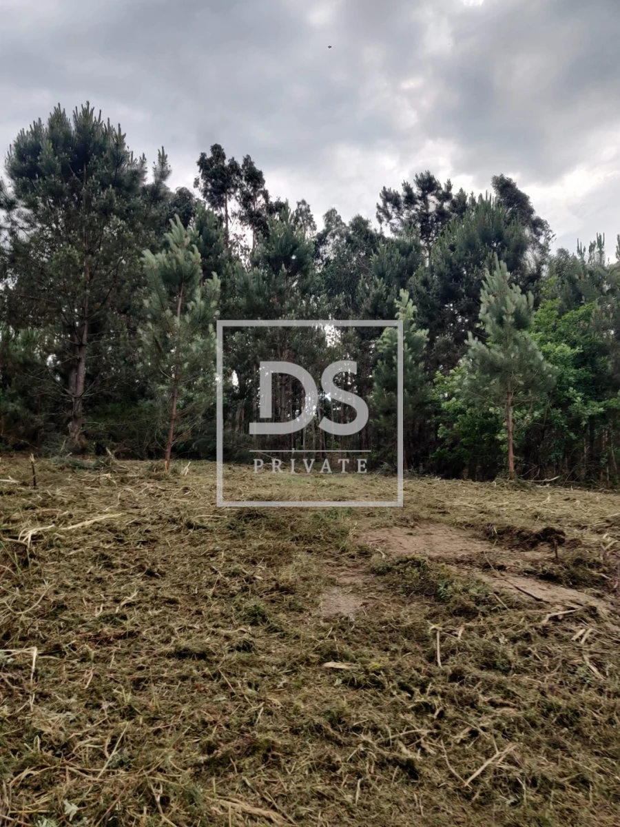 Terreno Agricola ou Rústico para Venda em Castelões Foto 26