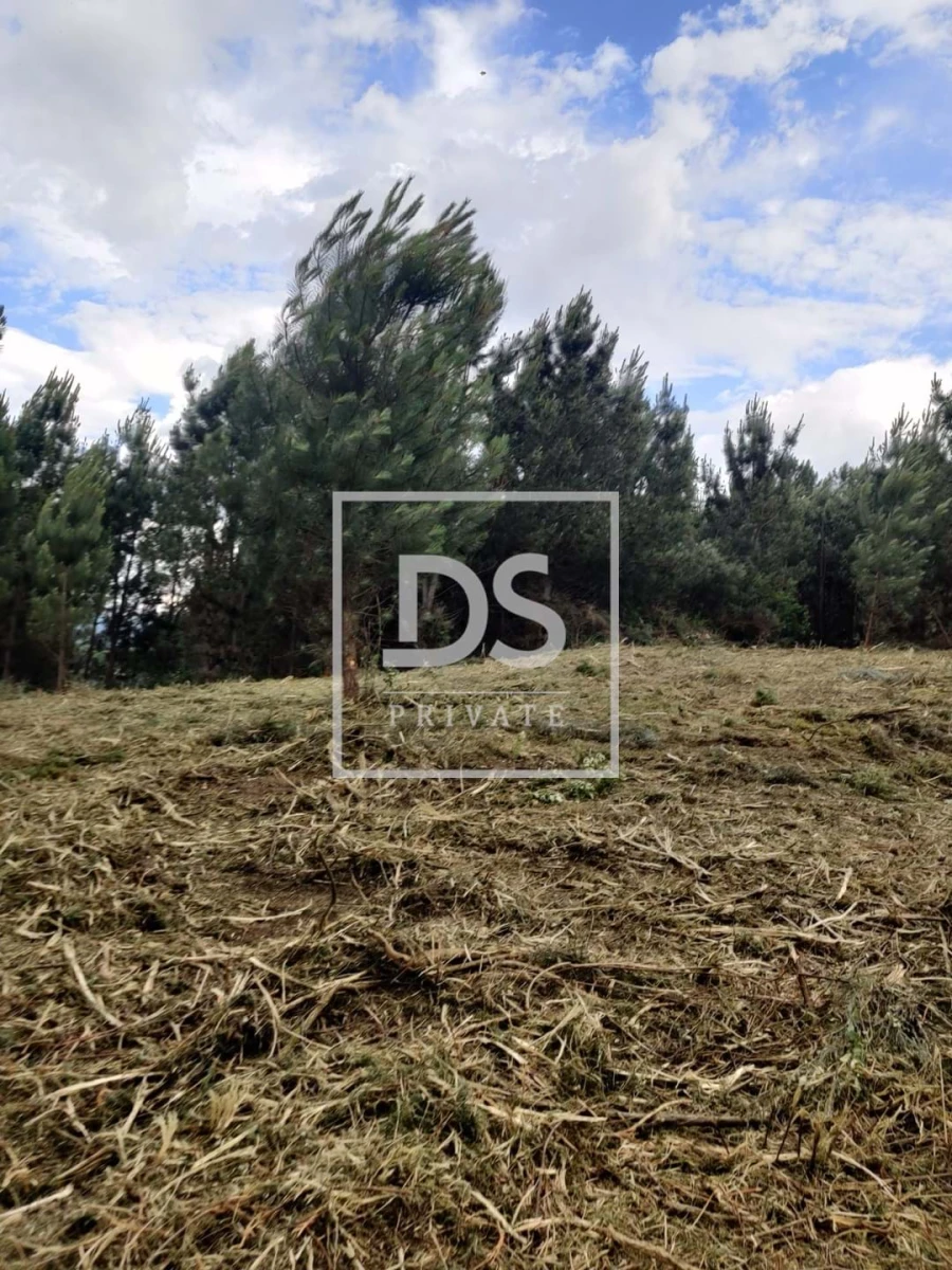 Terreno Agricola ou Rústico para Venda em Castelões Foto 19