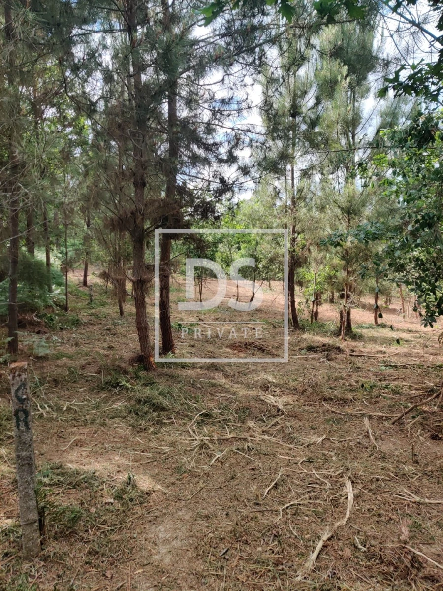 Terreno Agricola ou Rústico para Venda em Castelões Foto 15