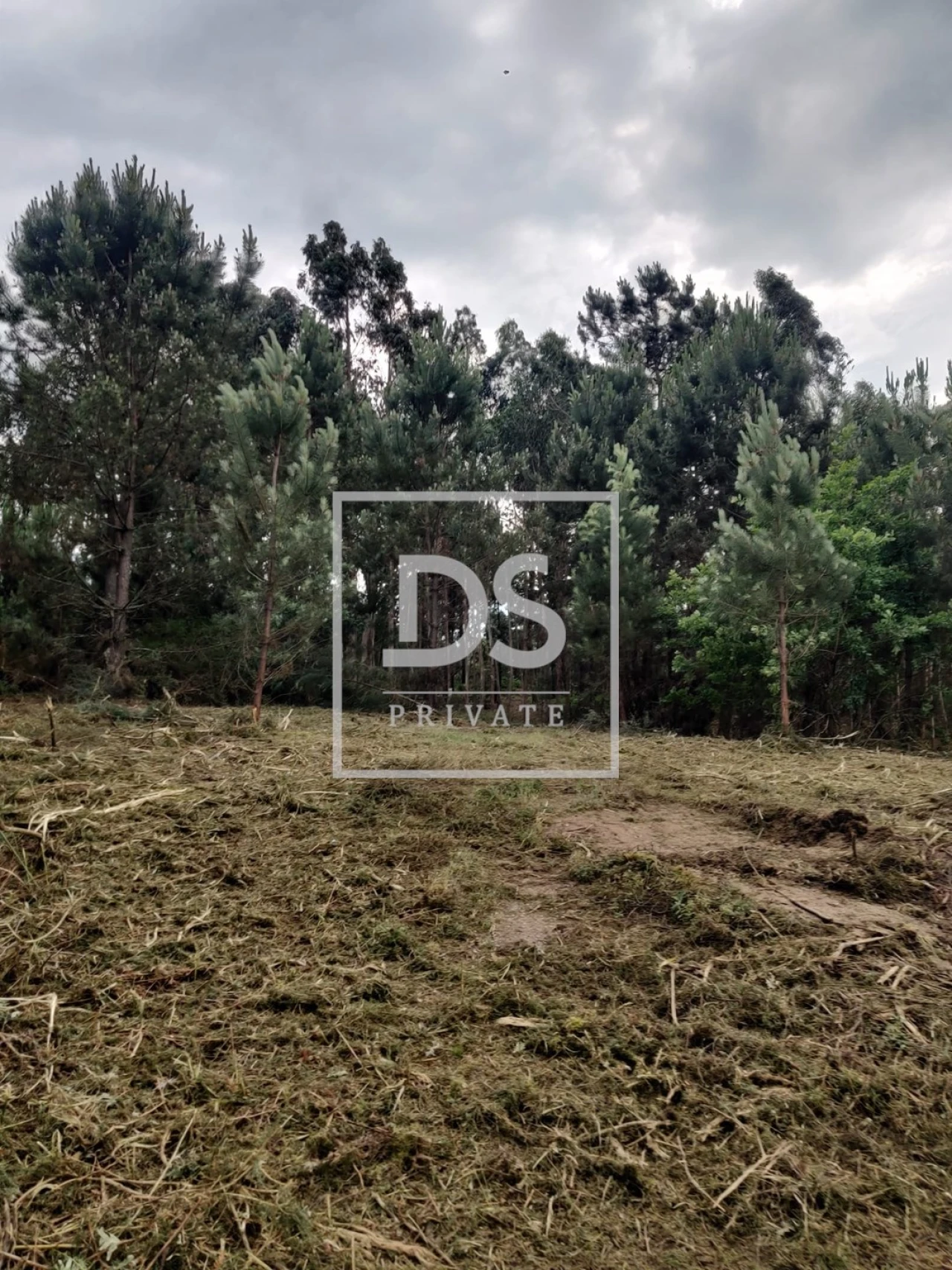 Terreno Agricola ou Rústico para Venda em Castelões Foto 26
