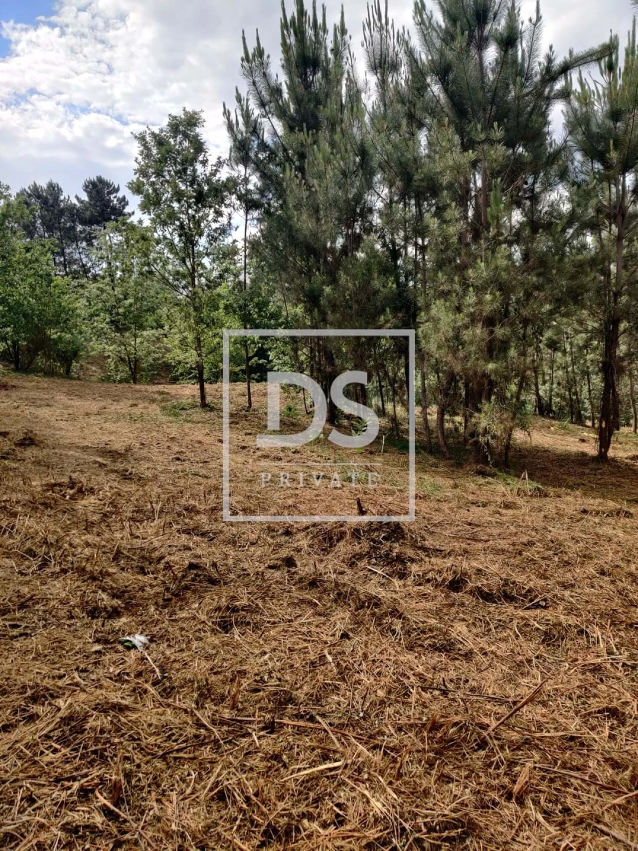 Terreno Agricola ou Rústico para Venda em Castelões Foto 9