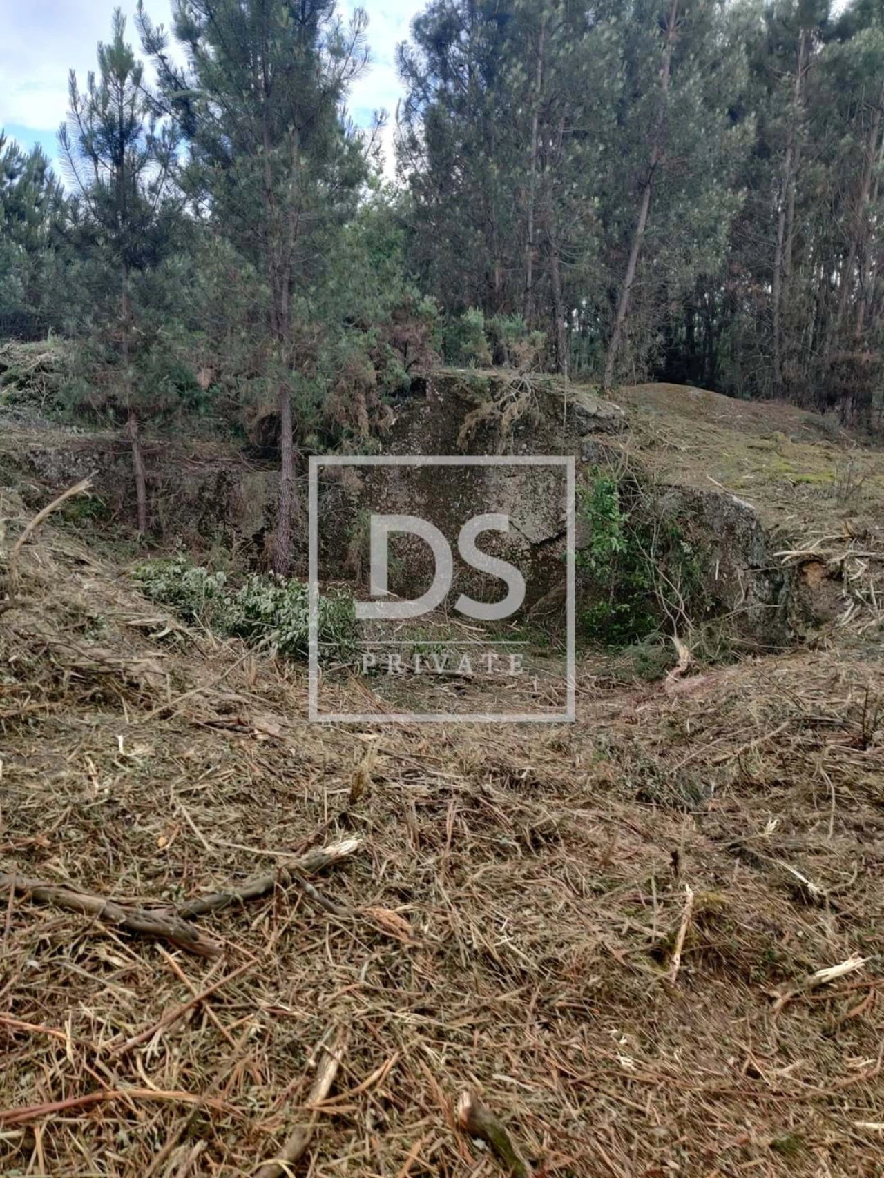 Terreno Agricola ou Rústico para Venda em Castelões Foto 4