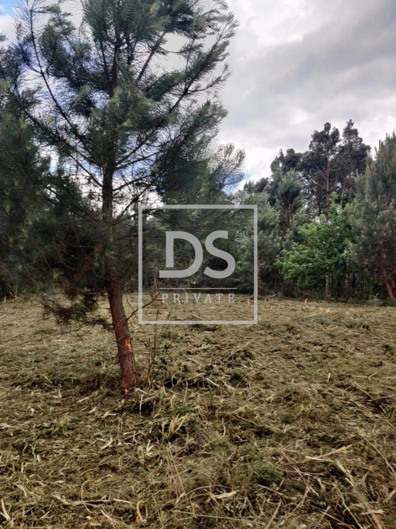 Terreno Agricola ou Rústico para Venda em Castelões Foto 7