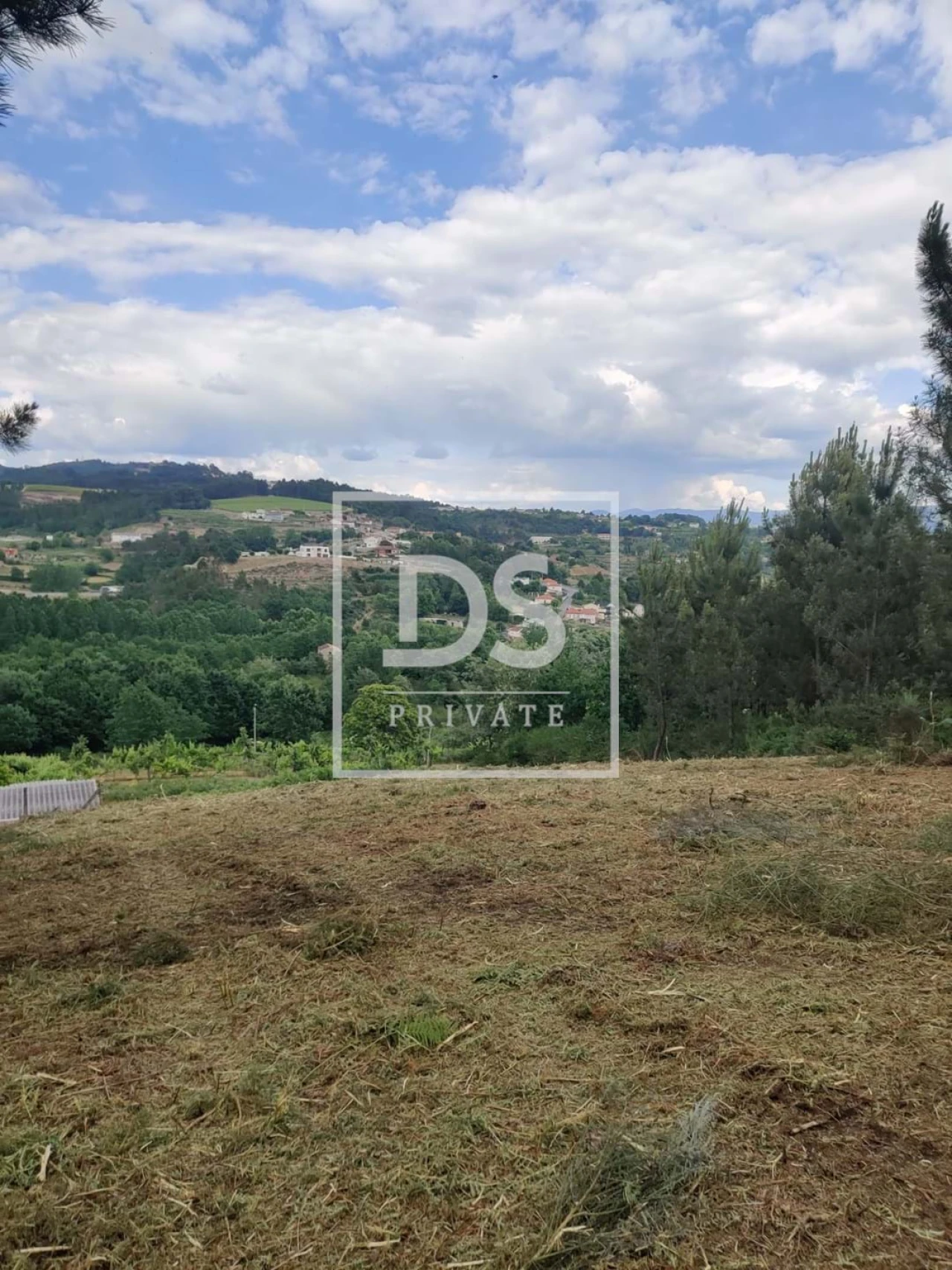 Terreno Agricola ou Rústico para Venda em Castelões Foto 17