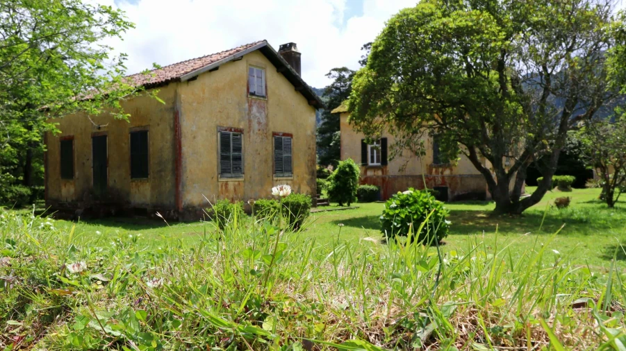 Terreno para Venda em Sete Cidades Foto 3