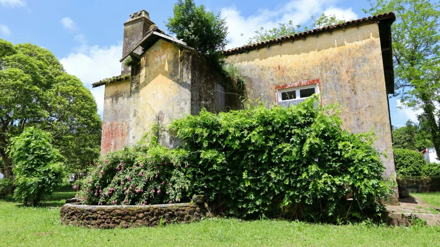 Terreno para Venda em Sete Cidades Foto 9