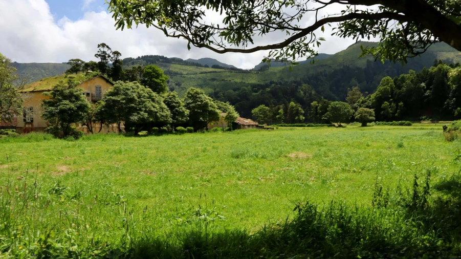 Terreno para Venda em Sete Cidades Foto 20