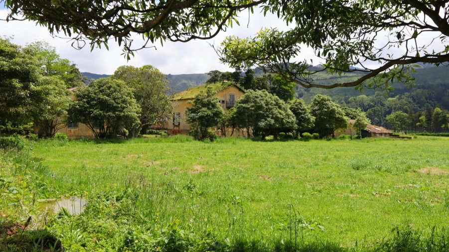 Terreno para Venda em Sete Cidades Foto 2