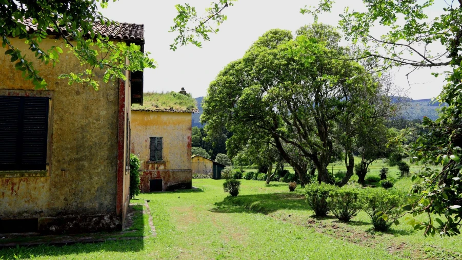 Terreno para Venda em Sete Cidades Foto 5