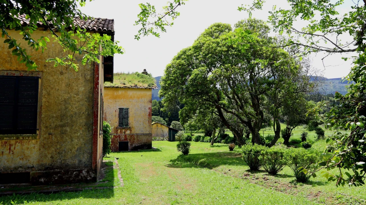 Terreno para Venda em Sete Cidades Foto 5