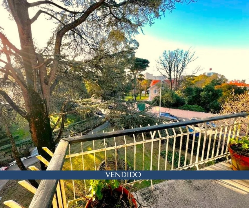 Apartamento T3 para Venda em Aldoar, Foz do Douro e Nevogilde Foto 1