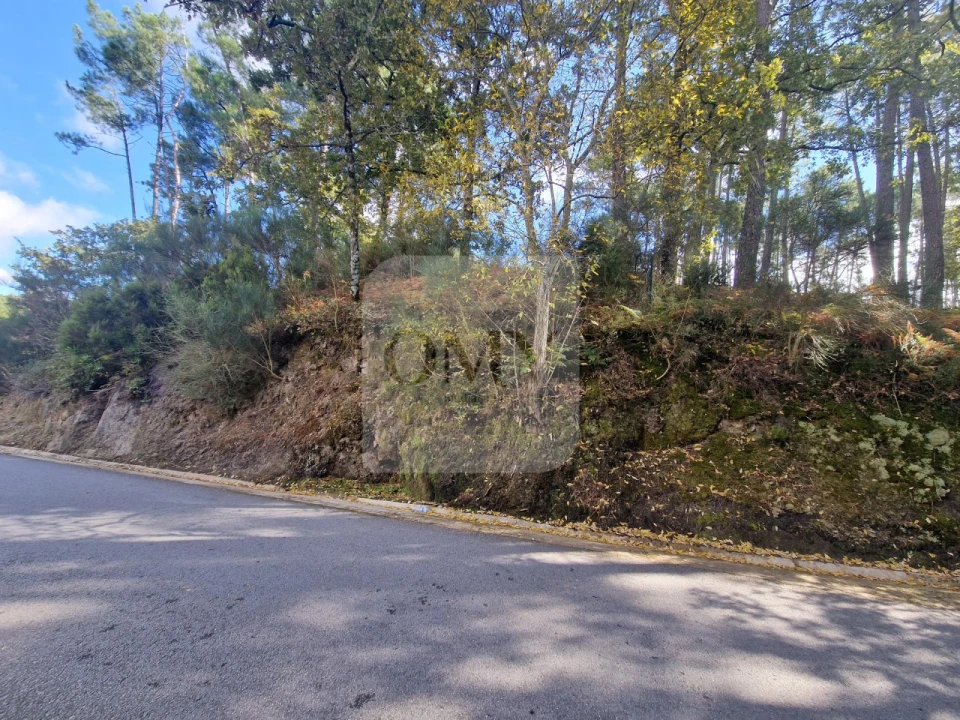 Terreno para Venda em Adoufe e Vilarinho de Samardã Foto 11