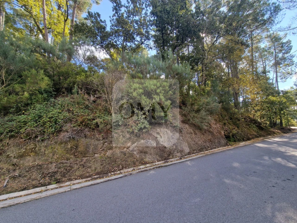 Terreno para Venda em Adoufe e Vilarinho de Samardã Foto 12
