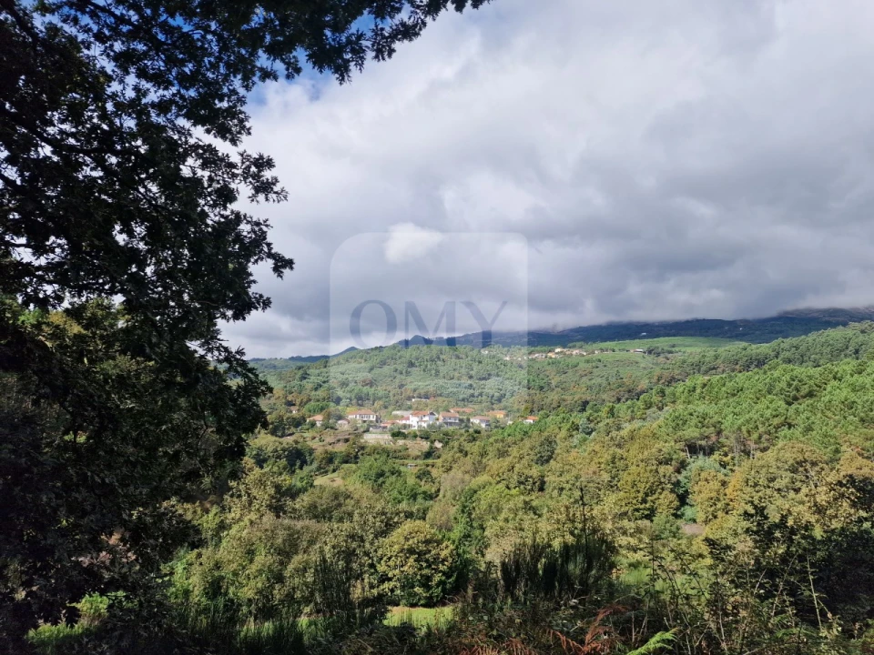 Terreno para Venda em Adoufe e Vilarinho de Samardã Foto 9