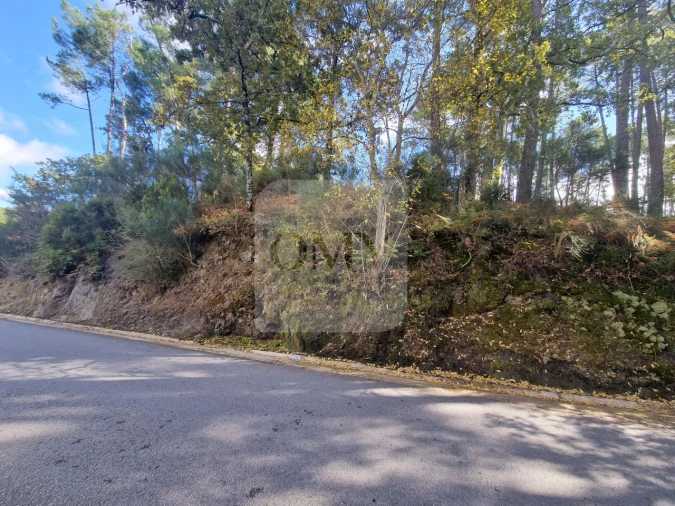 Terreno para Venda em Adoufe e Vilarinho de Samardã Foto 11