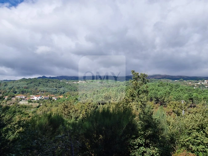 Terreno para Venda em Adoufe e Vilarinho de Samardã Foto 8