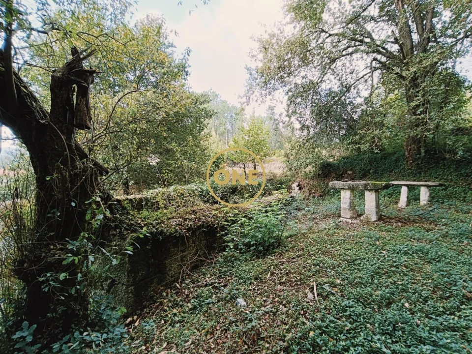 Moradia T1 para Venda em Chorense e Monte Foto 21