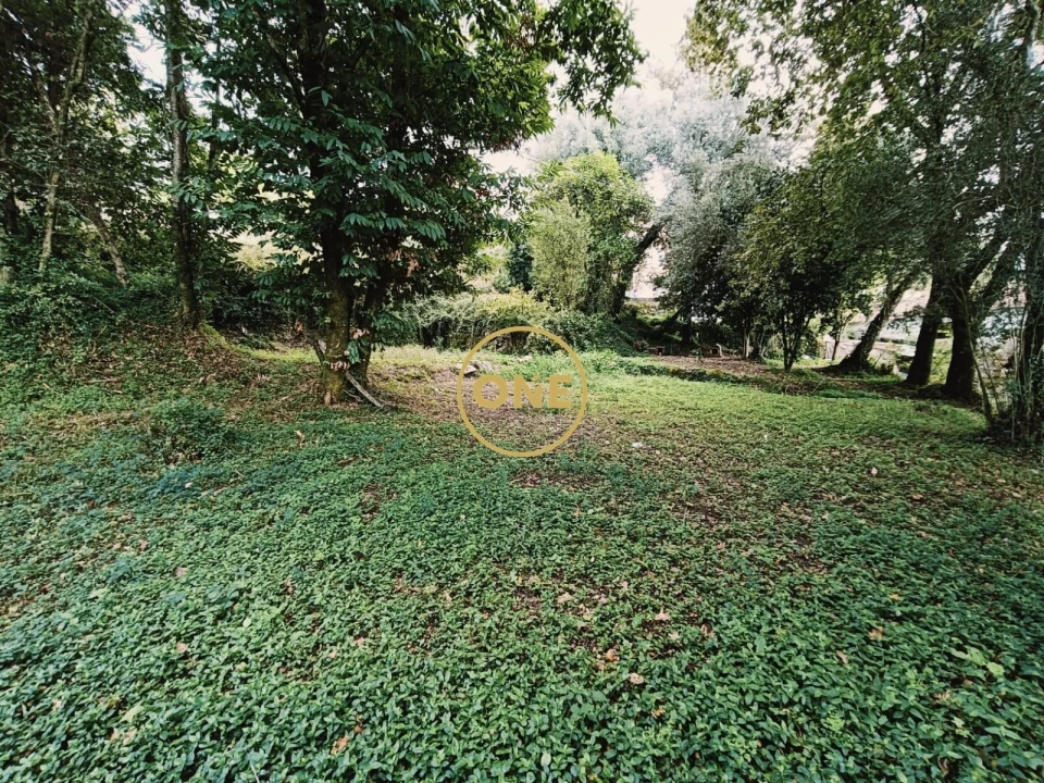 Moradia T1 para Venda em Chorense e Monte Foto 11