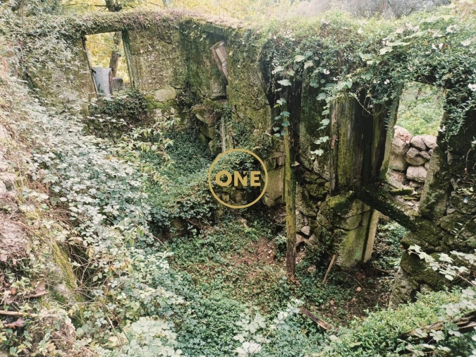 Moradia T1 para Venda em Chorense e Monte Foto 19