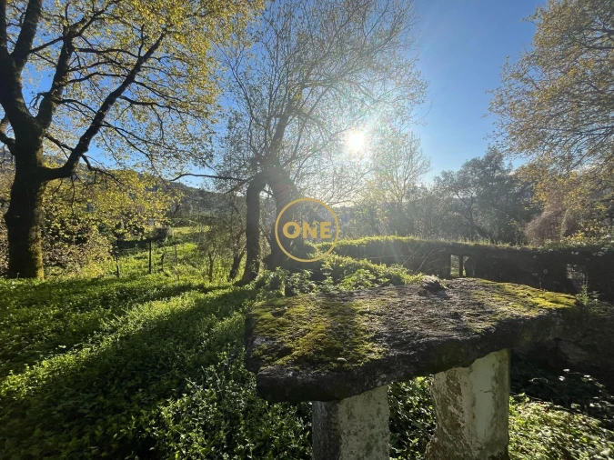 Moradia T1 para Venda em Chorense e Monte Foto 2