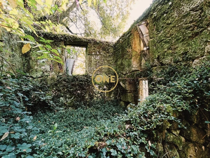 Moradia T1 para Venda em Chorense e Monte Foto 3