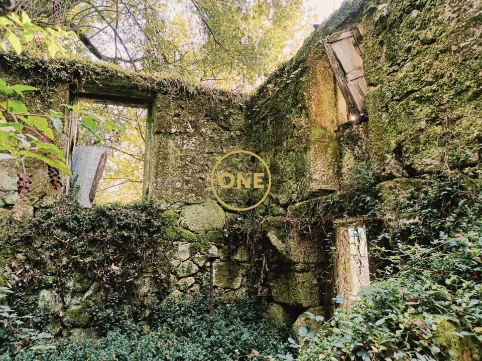 Moradia T1 para Venda em Chorense e Monte Foto 12