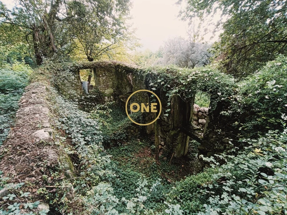 Moradia T1 para Venda em Chorense e Monte Foto 18