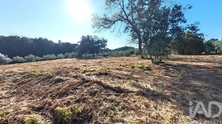 Moradia T3 para Venda em Carvalhal Foto 9