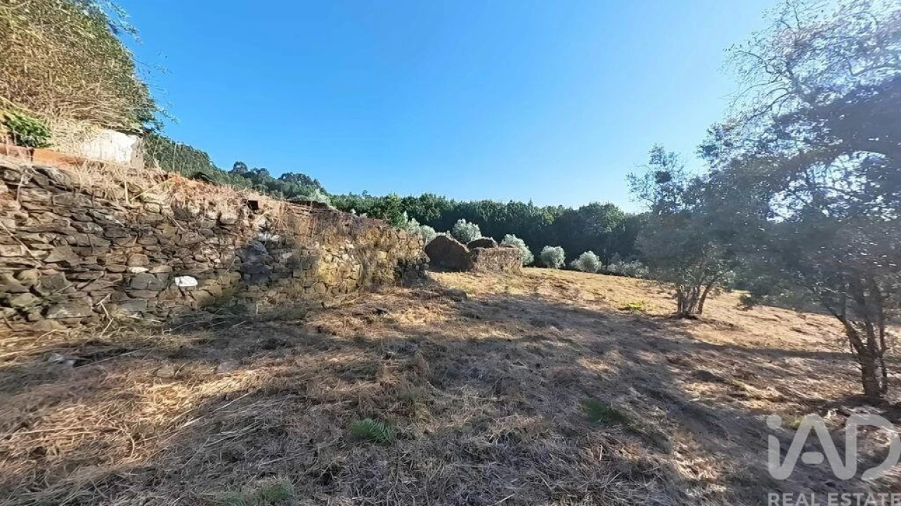 Moradia T3 para Venda em Carvalhal Foto 4