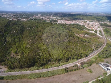 Terreno para Venda em Vale de Santarem