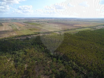 Terreno para Venda em Vale de Santarem