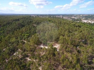 Terreno para Venda em Vale de Santarem