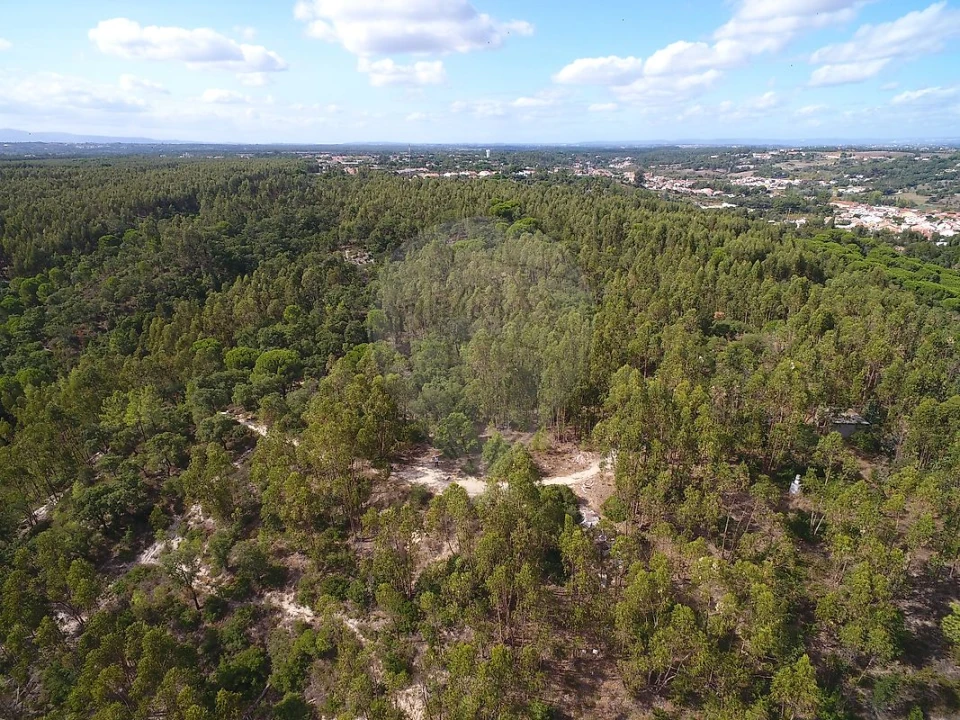 Terreno para Venda em Vale de Santarem Foto 8